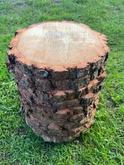 Rustic Pine Wood Slices (Center Pieces)