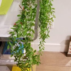 Long Faux Hanging Ivy (2 Full Sets)Drape, Excell Cond