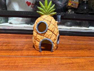 Fish accessories