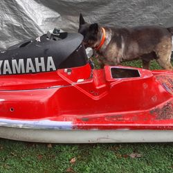 Yamaha Waveblaster Jetski 