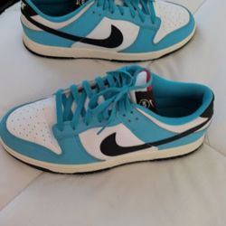 Nike Dunk Low Next Nature Men Size10  Excellent Condition!