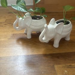 Elephant Ceramic Planter Pots for Indoor Plants | Decorative 