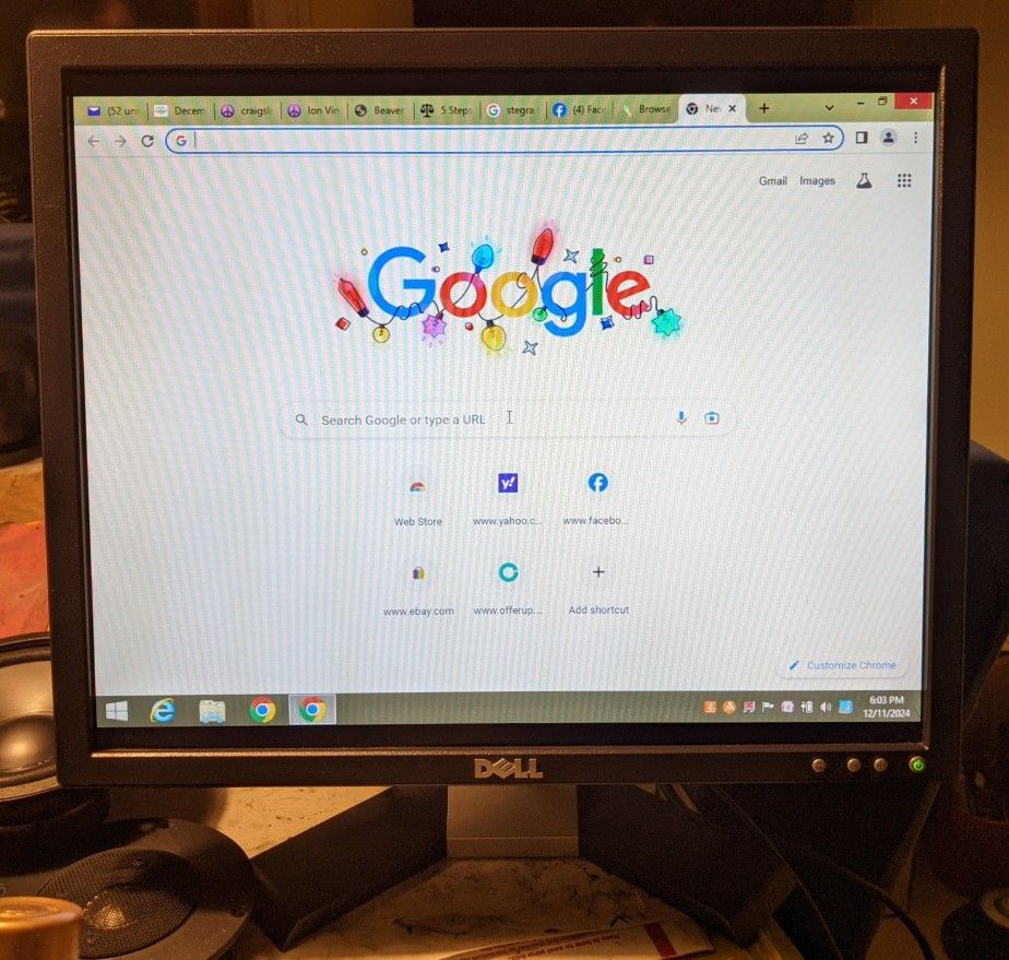 19" Dell LCD Flat Panel PC Computer Monitor
