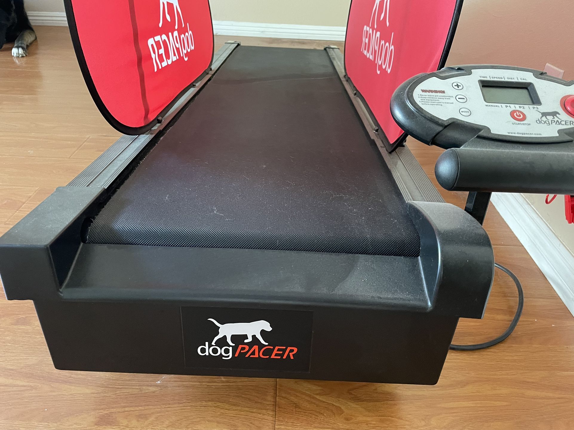 dogPACER MiniPacer Dog Treadmill