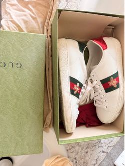 Tenis Gucci