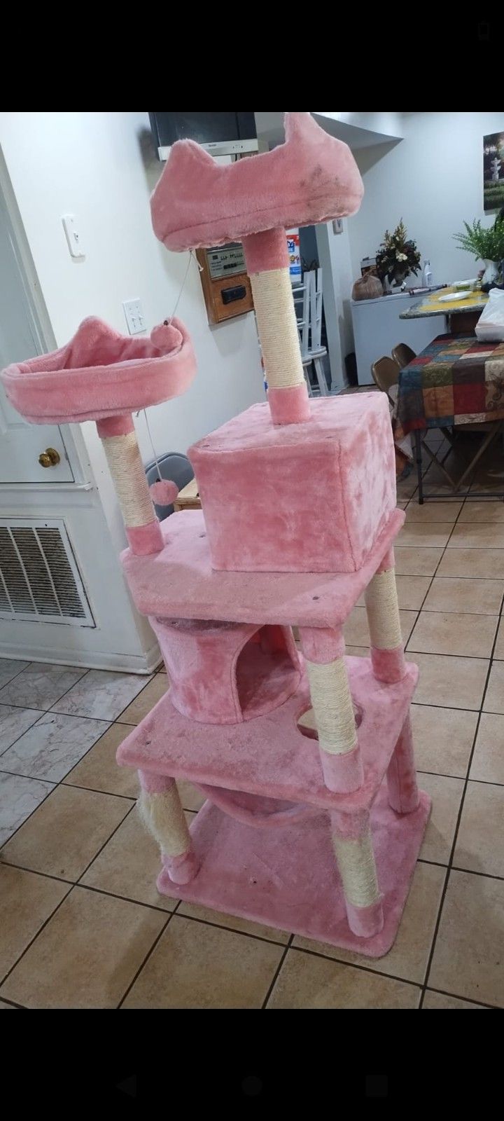 Cat Scratching Tree