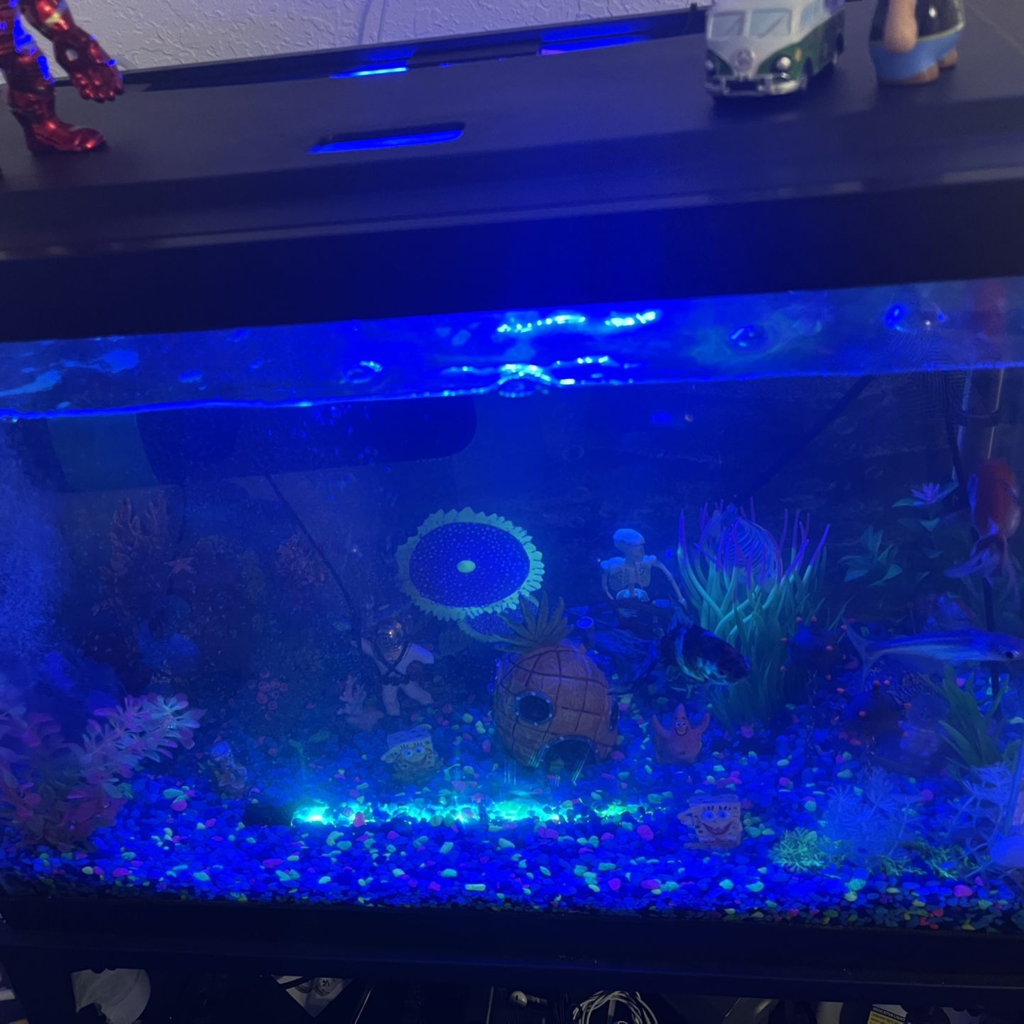 20 gallon aquarium for sale fully equipped with all accessories