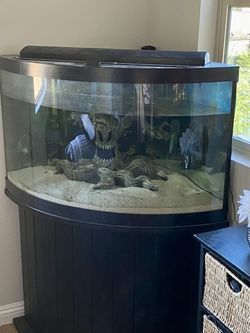 55 Gallon Corner Fish Tank 