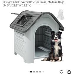 Dog House 