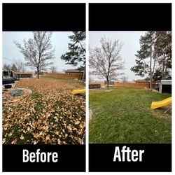 Leaves Cleanup Sale Boise Meridian Nampa Kuna