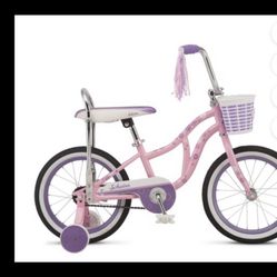 Used Schwinn Bike For Girls