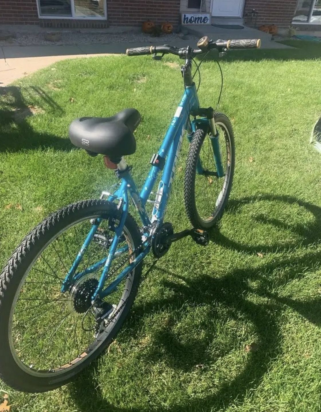 Trek Gear Bike
