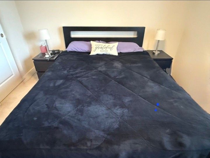Queen Bed, Mattress And Box