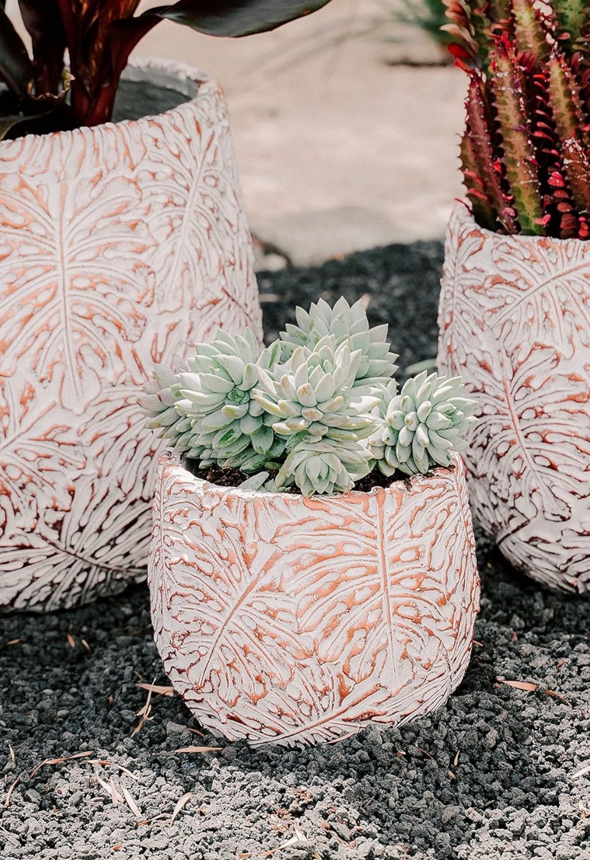 Fiberstone Cement Planters