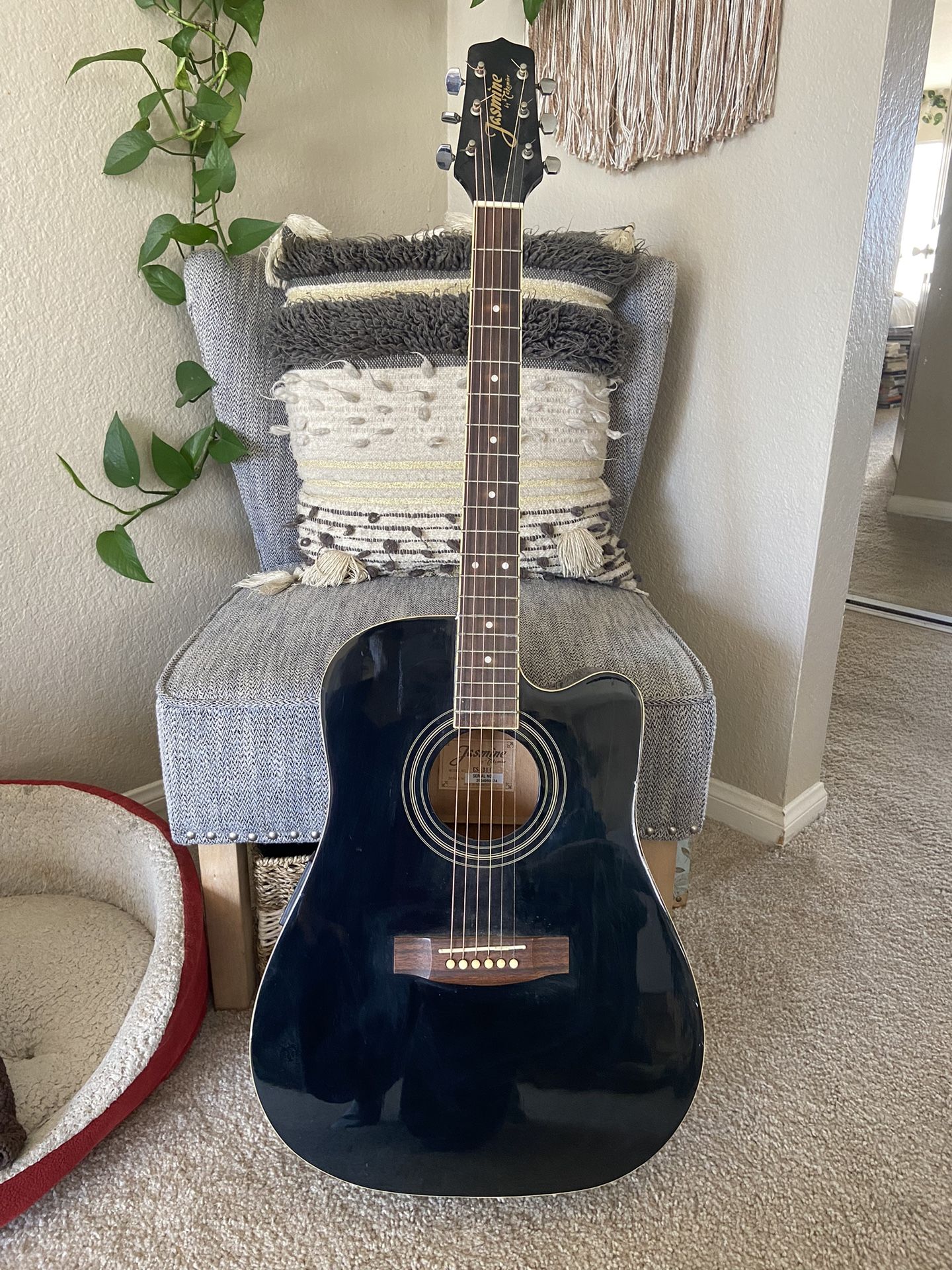 Jasmine Takamine Guitar for Sale in San Diego, CA OfferUp
