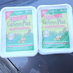 Cat Grass seeding heat mat