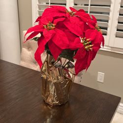Poinsettias