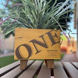 Wine Crate Panel Planter