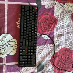 Mechanical Gaming Keyboard