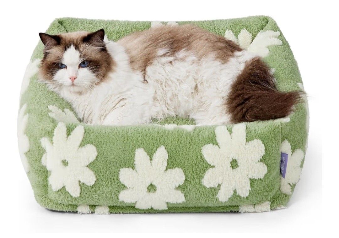 Lesure Cute Dog Bed for Small Dogs & Cats- Washable Puppy Beds,Cozy Rectangle Orthopedic