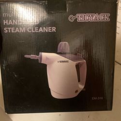 Steam Cleaner 