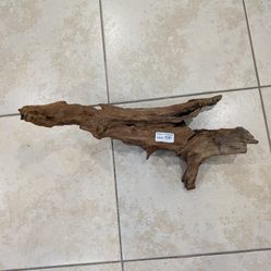 Drift Wood