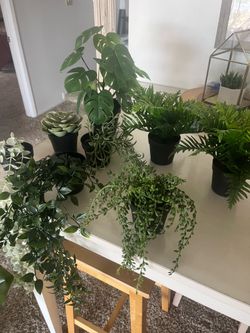 11 fake plants
