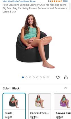 Bean bags (3 posh & 5 Big Joe)