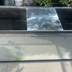Free Fish/Reptile tank