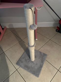 FREE cat scratching post