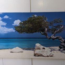 Beach Frame Art Picture Scene