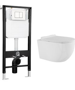 Wall mount toilet