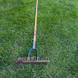 Thatching rake