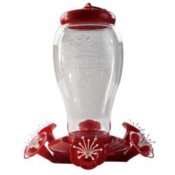 Pennington Large Glass Red Hummingbird Bird Feeder
