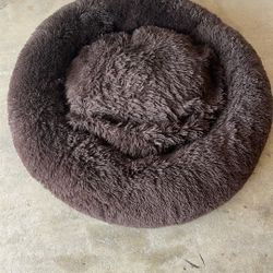Dog Bed