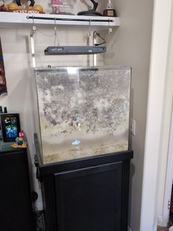 60 Gal. Cube Reef Tank