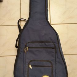Pignose Acoustic Guitar Padded Backpack Gig Bag For Sale!!!
