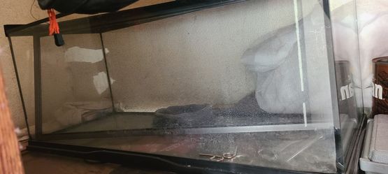 20 Gallon Snake Cage