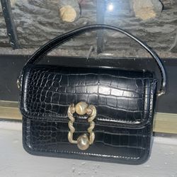 Zara Small Black Purse Belt Bag Gold Snakes 