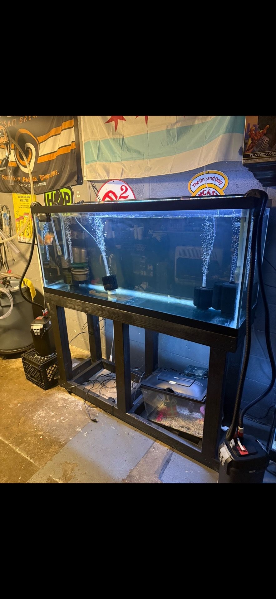 125 gallon fish tank