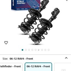 Complete Assembly Struts