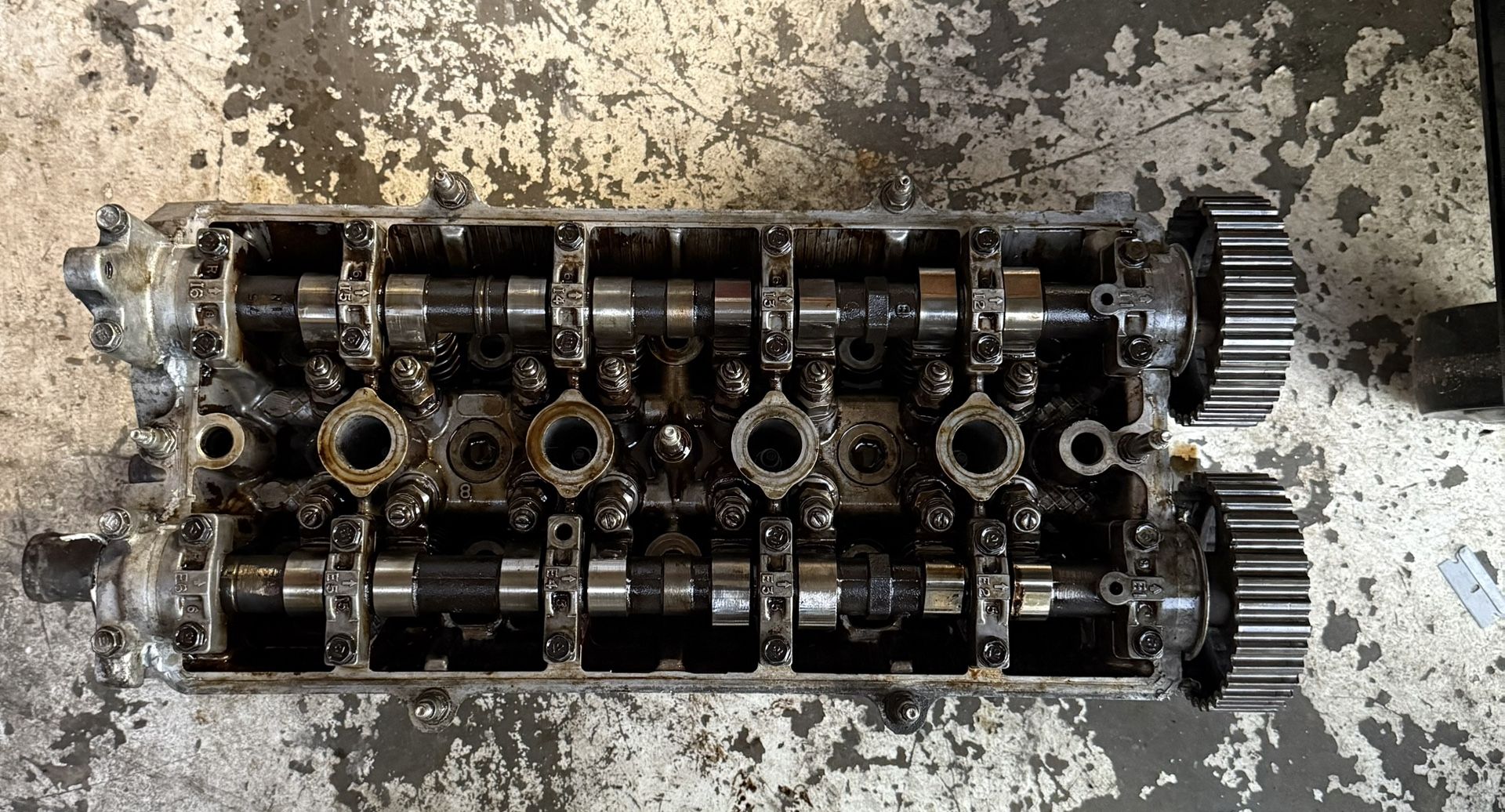 B20 Head