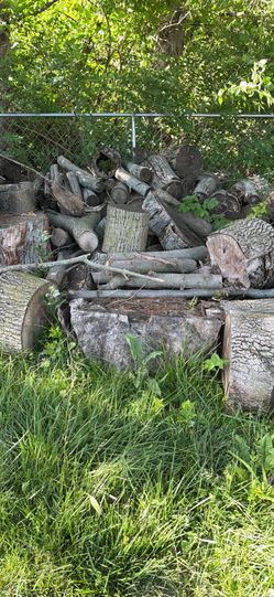 Firewood seasoned