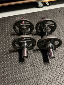 Olympic dumbbells with 40lbs of plates