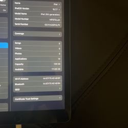 Apple iPad 5th Generation, 128 gb A1822. WiFi.9.7", Gray,Clean iCloud, Fully functions,iOS 16.5.1