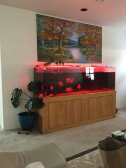 Fish Tank