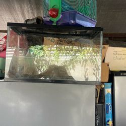 Fish Tank