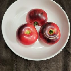 Extremely Rare Organic Blue Beauty Tomato Seeds! 2026 SEASON EARLY RELEASE! 