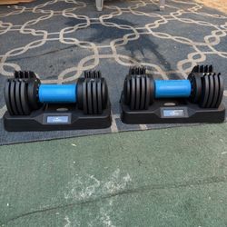 Flybird Adjustable Dumbbells Set
