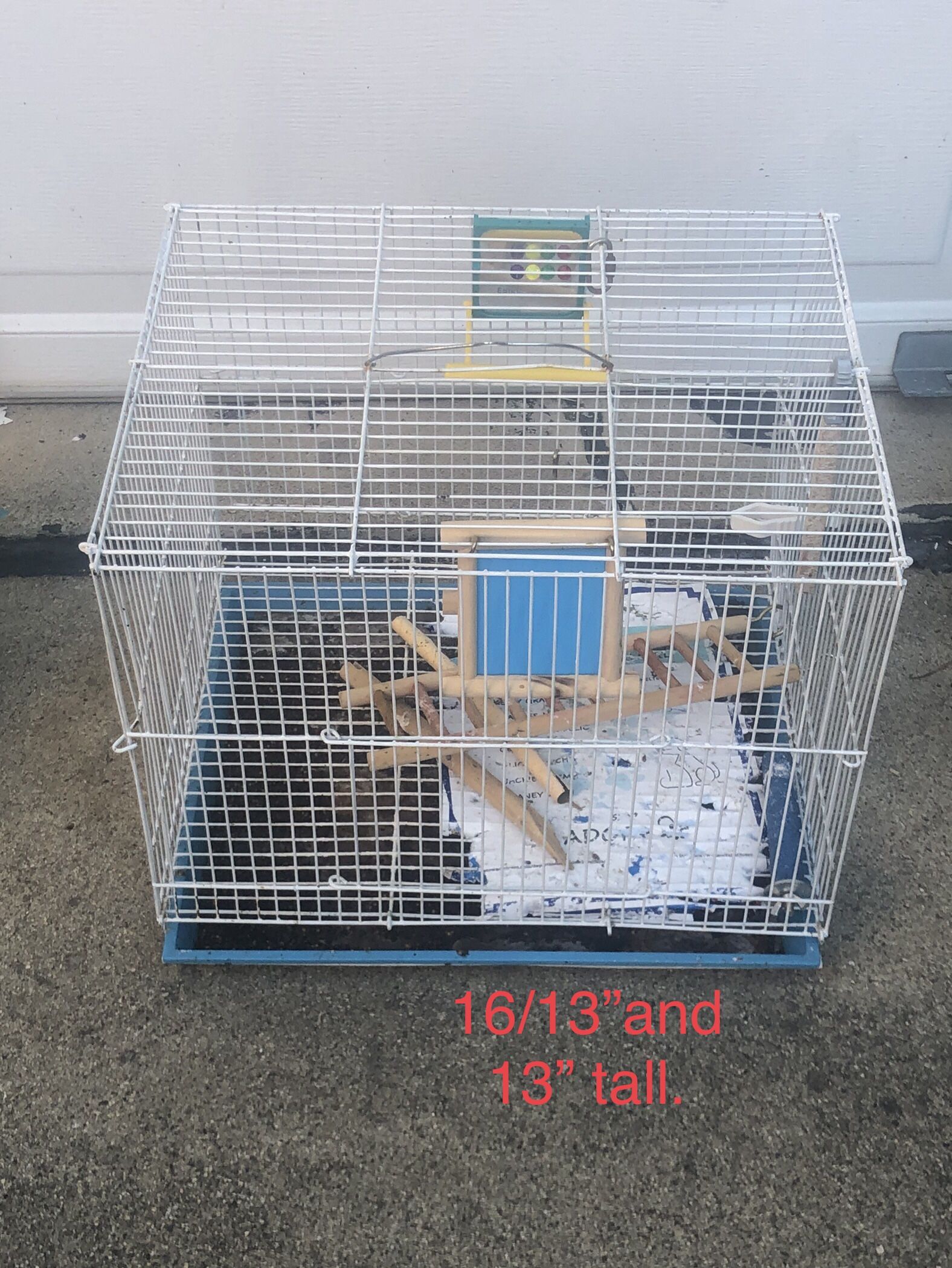 bird case